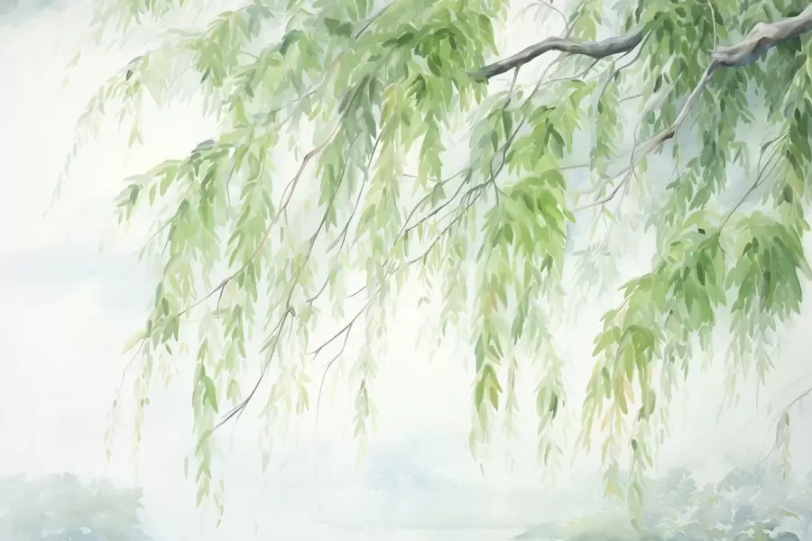 murais de parede Ramos de salgueiro-chorão com folhas verdes penduradas, pinceladas suaves e delicadas, estilo de pintura em aquarela w09365