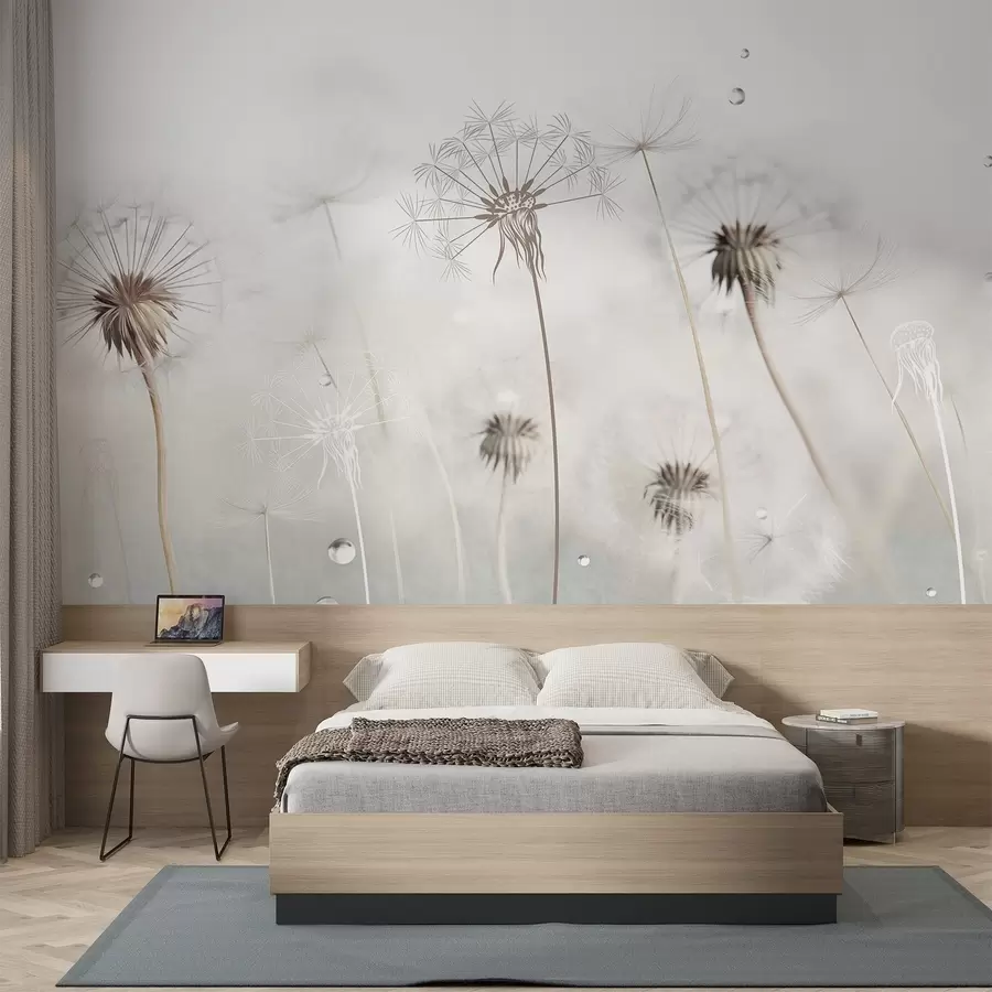 murais de parede Dentes-de-leão com gotas de água, fundo branco, close-up, luz suave, natureza, botânica, etéreo, delicado, minimalista w09399