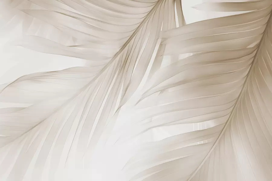 murais de parede Folhas de samambaia w04727