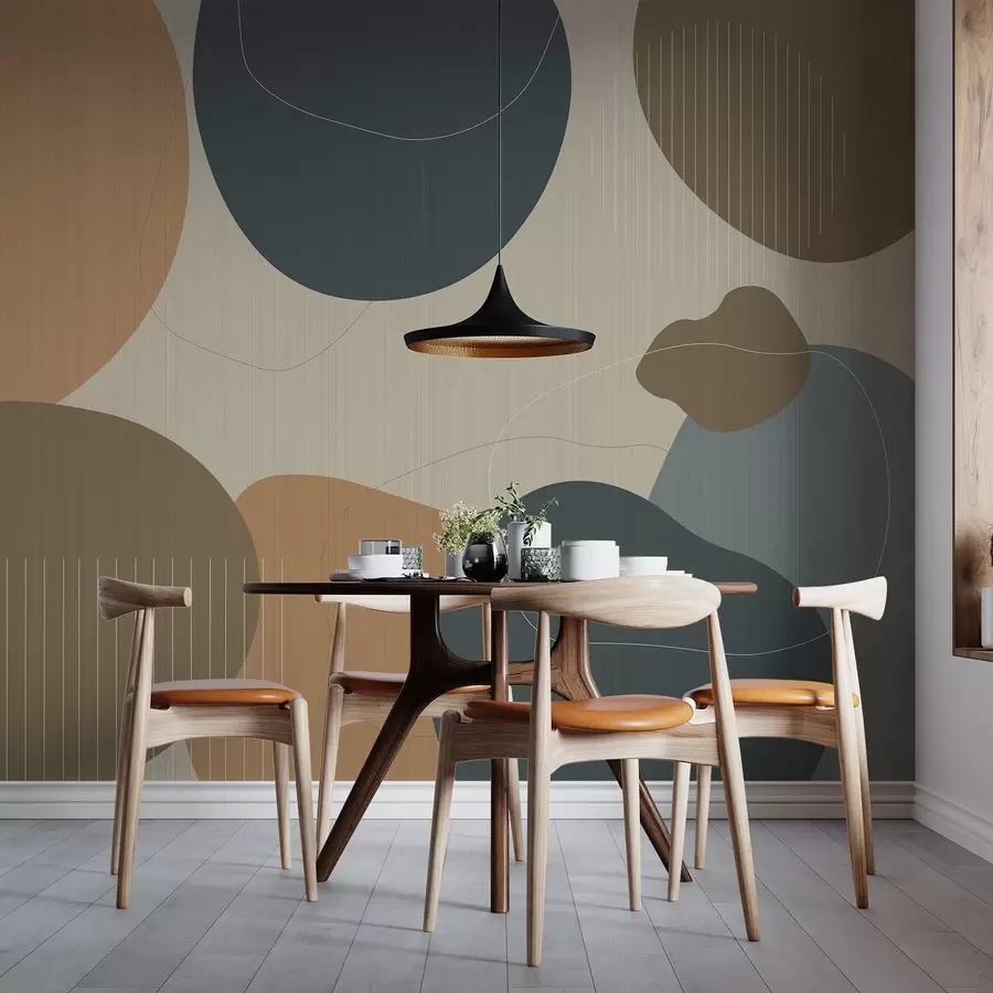 murais de parede Círculos abstratos w04759v1