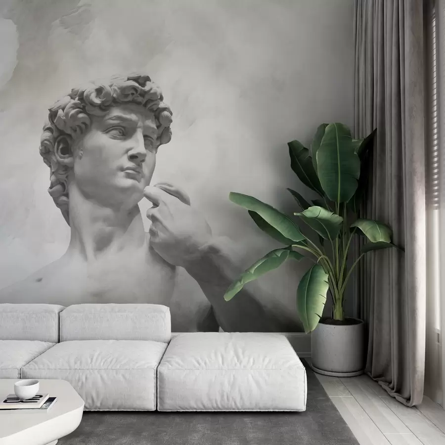 murais de parede Espírito renascentista w04767