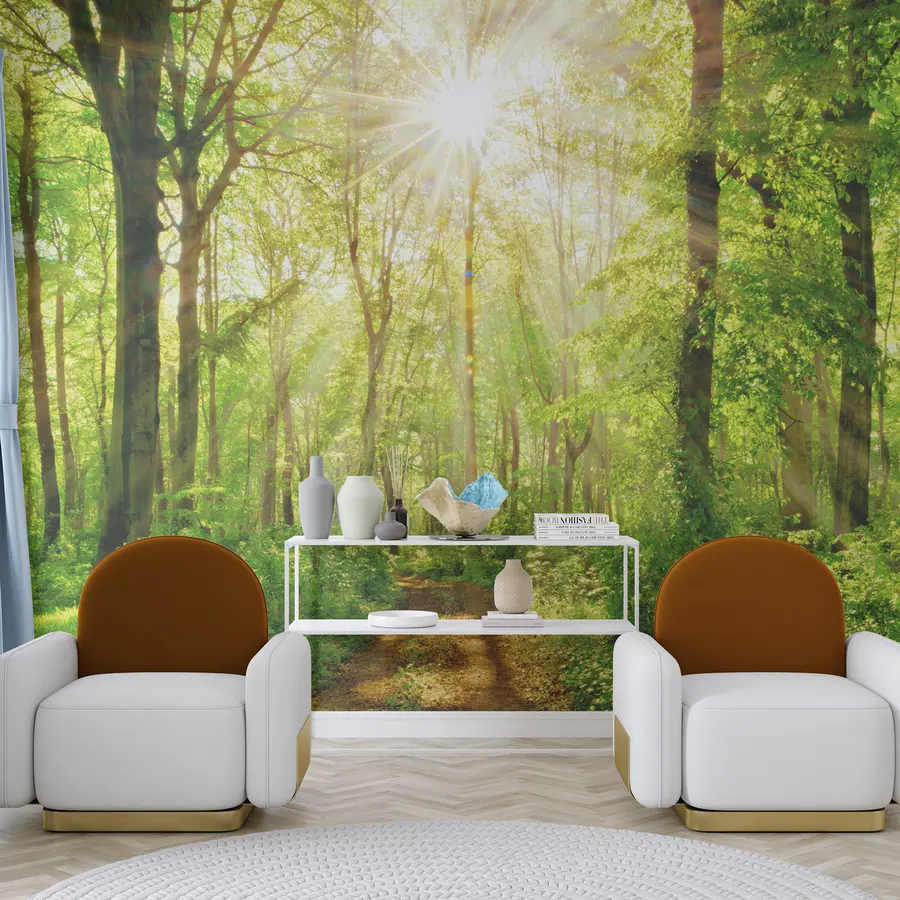 murais de parede Caminho na floresta ensolarada u22252