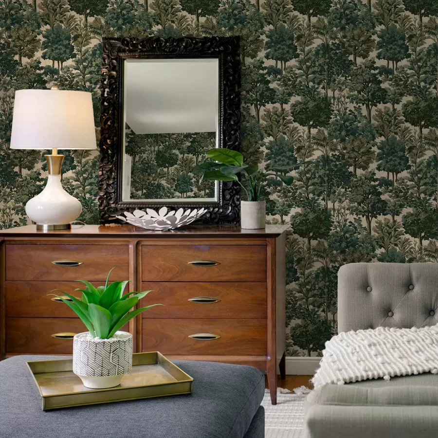 murais de parede Paisagem florestal a00966