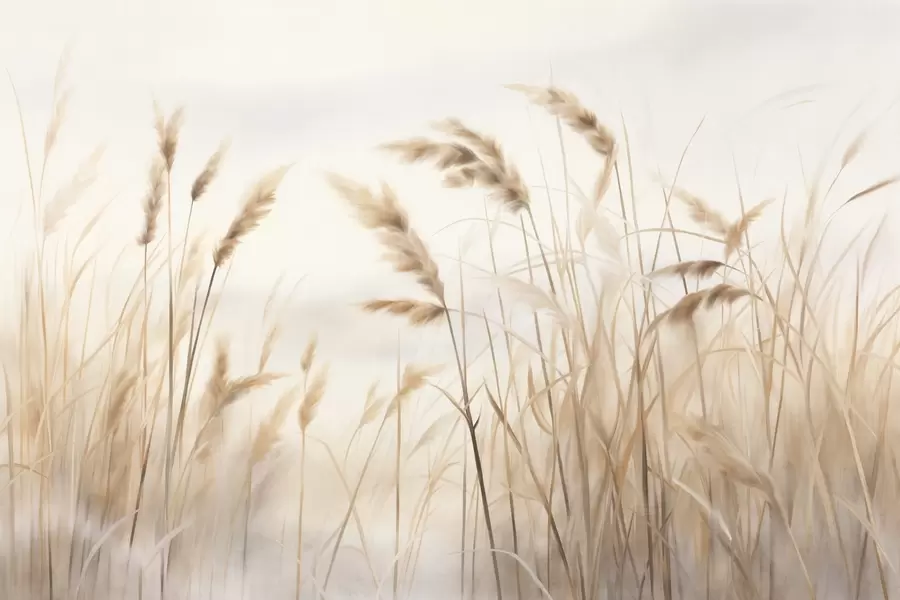 murais de parede Grama alta e seca com espigas de trigo no campo contra um fundo suave e claro w09648