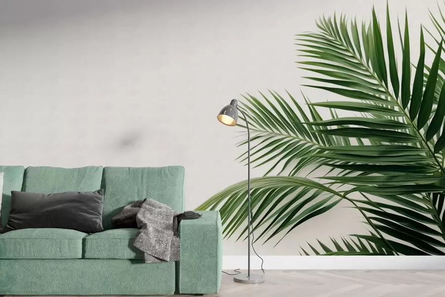 murais de parede Folhas verdes de palmeira sobre um fundo claro w05391