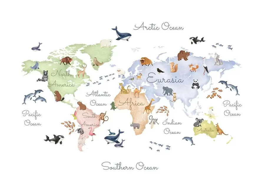 murais de parede Um mapa colorido em estilo aquarela com animais. Legendas em inglês c00012en