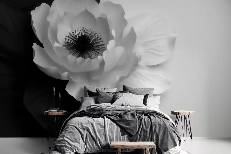 murais de parede Uma flor branca em contraste com o centro escuro, sobre um fundo em preto e branco w09852