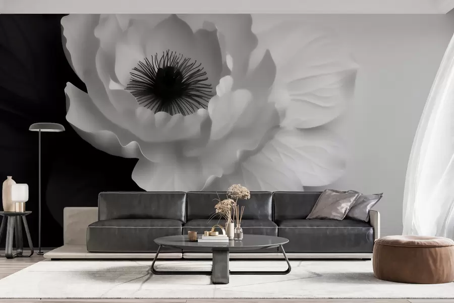murais de parede Uma flor branca em contraste com o centro escuro, sobre um fundo em preto e branco w09852