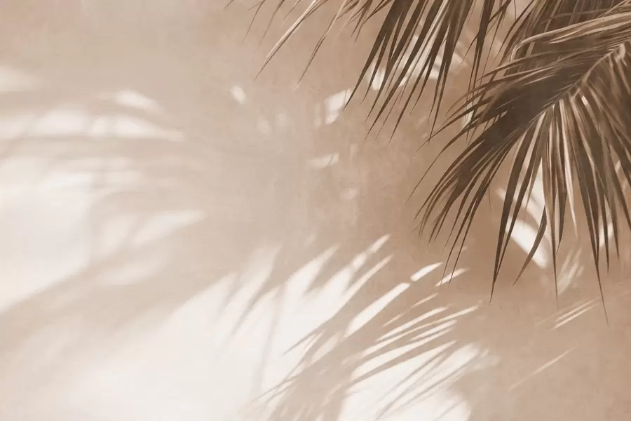 murais de parede Folhas de palmeira texturizadas com sombras, um ambiente tropical, minimalismo w09890
