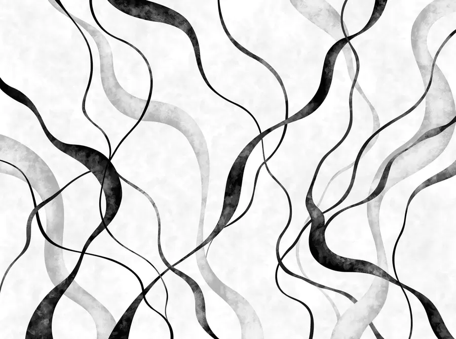 murais de parede Linhas abstratas e fluidas em tons monocromáticos w05699
