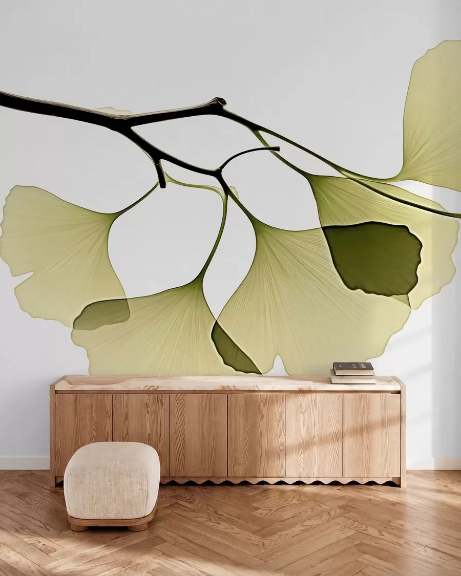 murais de parede Folhas em forma de leque do ginkgo w09968
