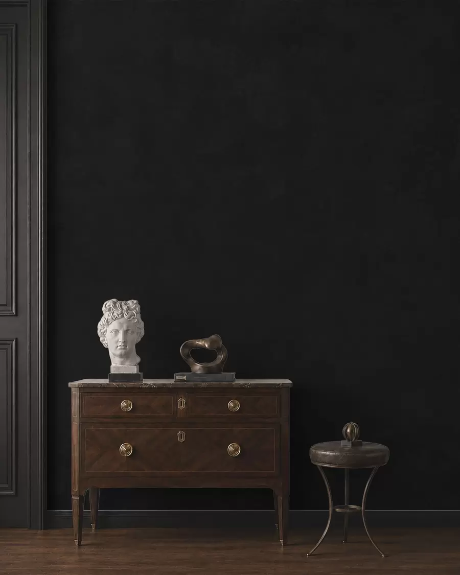 murais de parede Tom carvão escuro com textura suave e transições esfumadas sutis w05814v4
