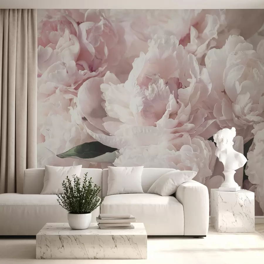 murais de parede Peônias rosa pálido u59600