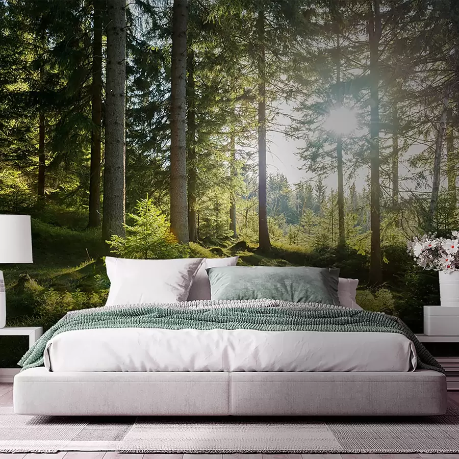 murais de parede Montanhas Carkonoshe na Polônia u80015