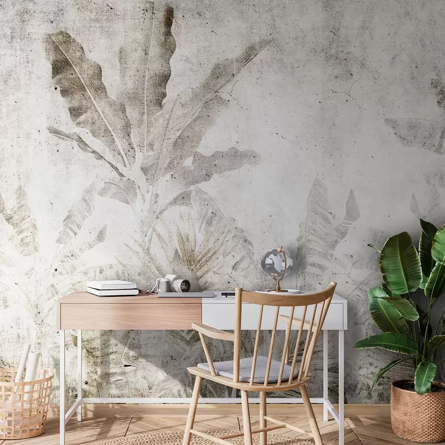 murais de parede Folhas de bananeira em uma parede de concreto u73886