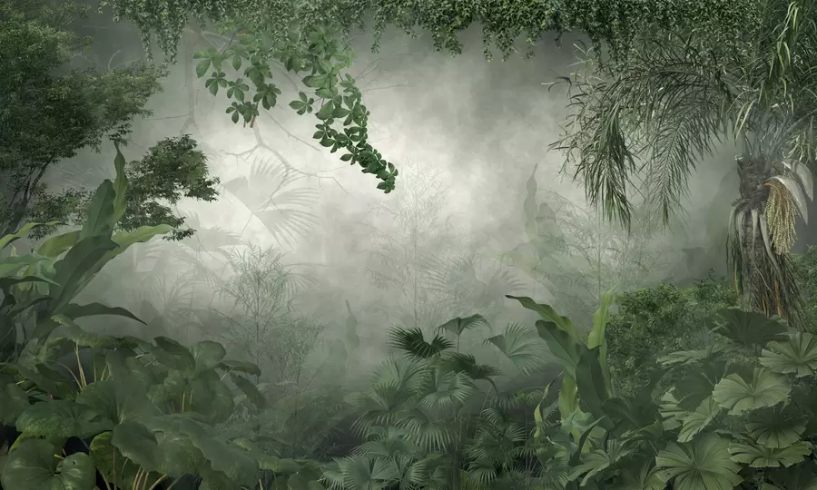 murais de parede Selva misteriosa u74409