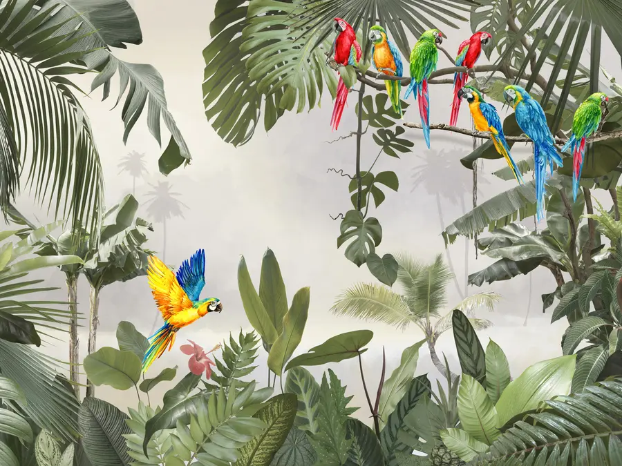 murais de parede Papagaios em galhos na floresta tropical u94072