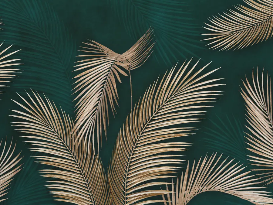 murais de parede Folhas tropicais em um fundo escuro u94012