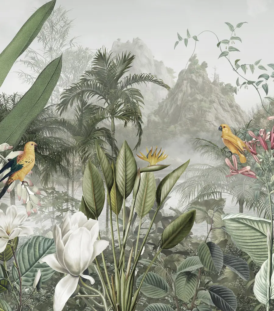 murais de parede selva tropical u95396