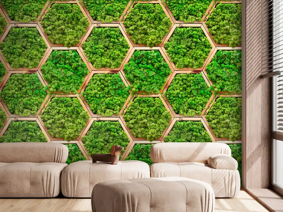 murais de parede Módulos de flores de musgo em molduras hexagonais de madeira u95502
