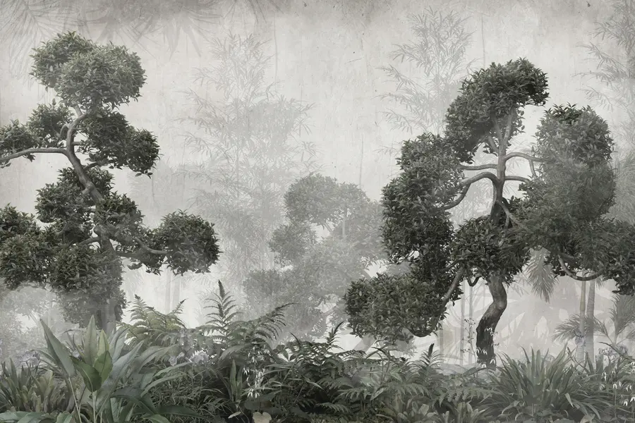 murais de parede Árvores tropicais e folhas em uma floresta enevoada u95901