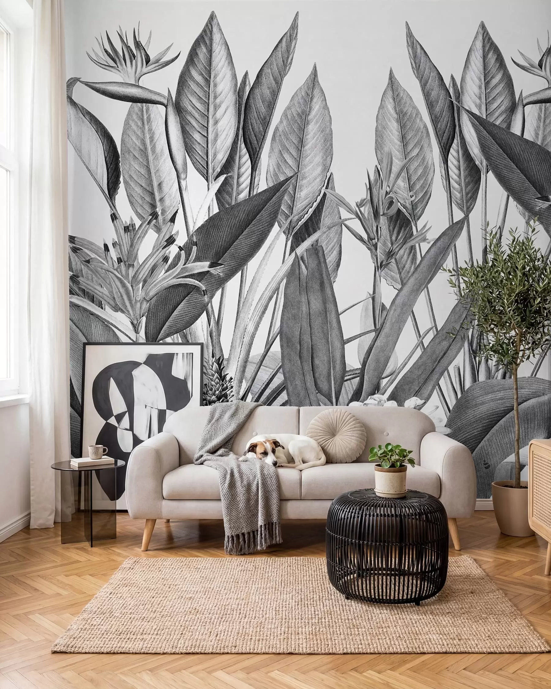 murais de parede A selva tropical planta a cor preto e branco u96833