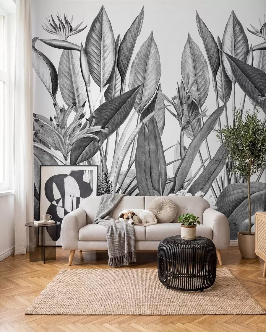 murais de parede A selva tropical planta a cor preto e branco u96833