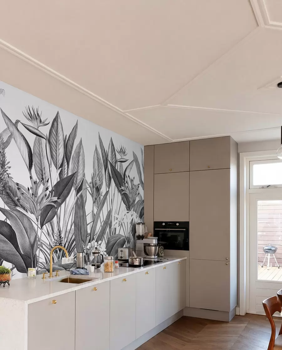 murais de parede A selva tropical planta a cor preto e branco u96833