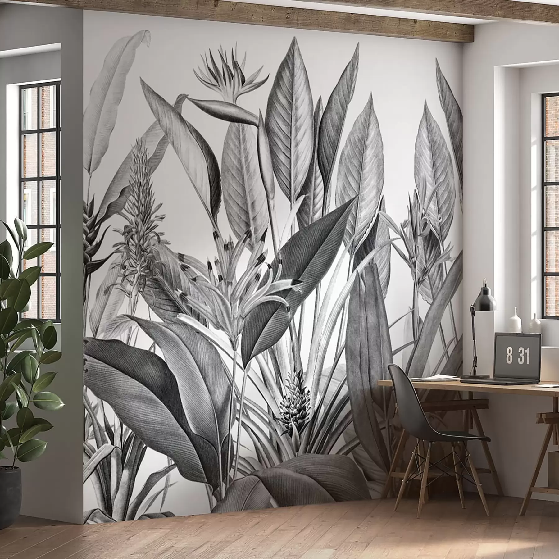 murais de parede A selva tropical planta a cor preto e branco u96833