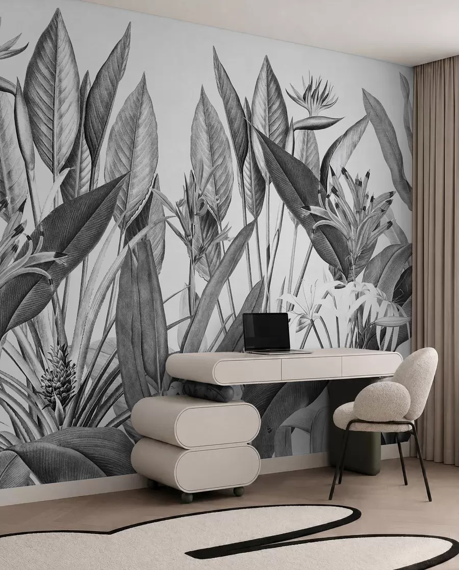 murais de parede A selva tropical planta a cor preto e branco u96833