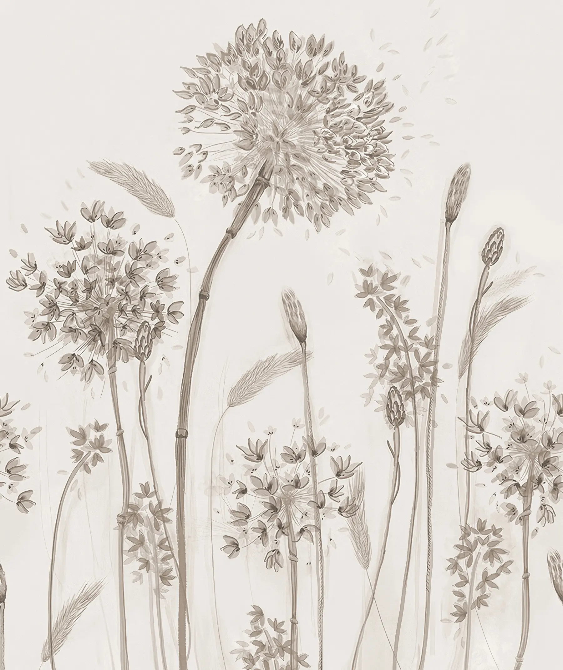 murais de parede Grandes flores de prado de dentes-de-leão estilo monocromático loft minimalismo u96934