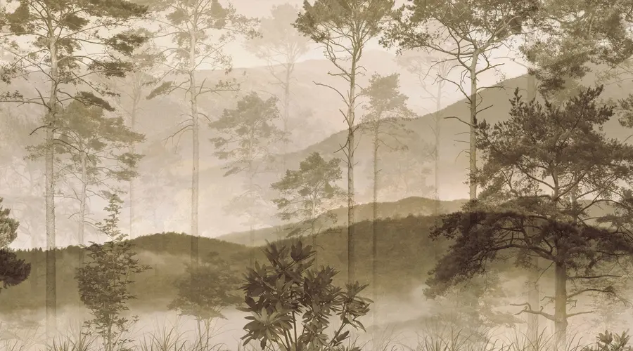 murais de parede Floresta em estilo grunge, mural u97058