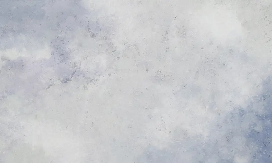 murais de parede Concreto cinza-azulado u97225