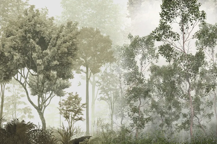 murais de parede Árvores tropicais e folhas em uma floresta nevoenta u97402