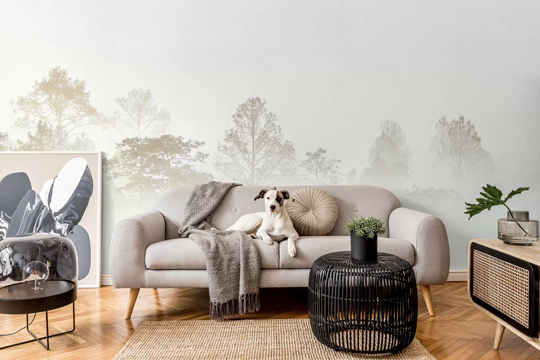 murais de parede Silhueta de um bosque na espessa neblina branca da manhã u97405