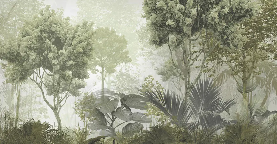 murais de parede Manhã nas profundezas da floresta u97409