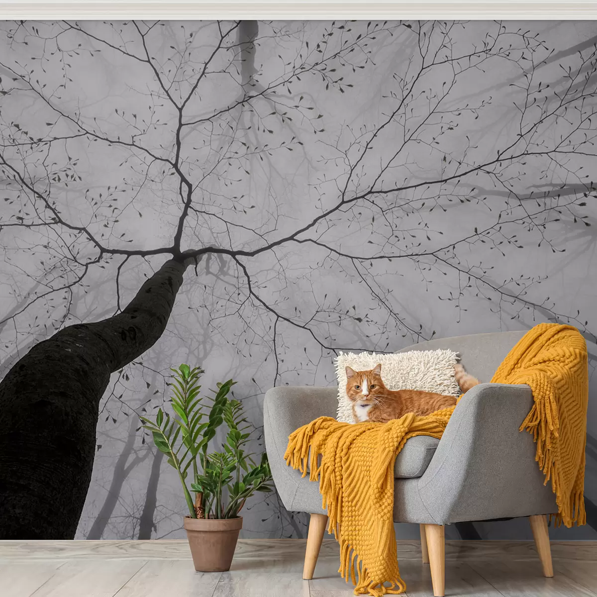 murais de parede Uma manhã nublada na floresta u97391