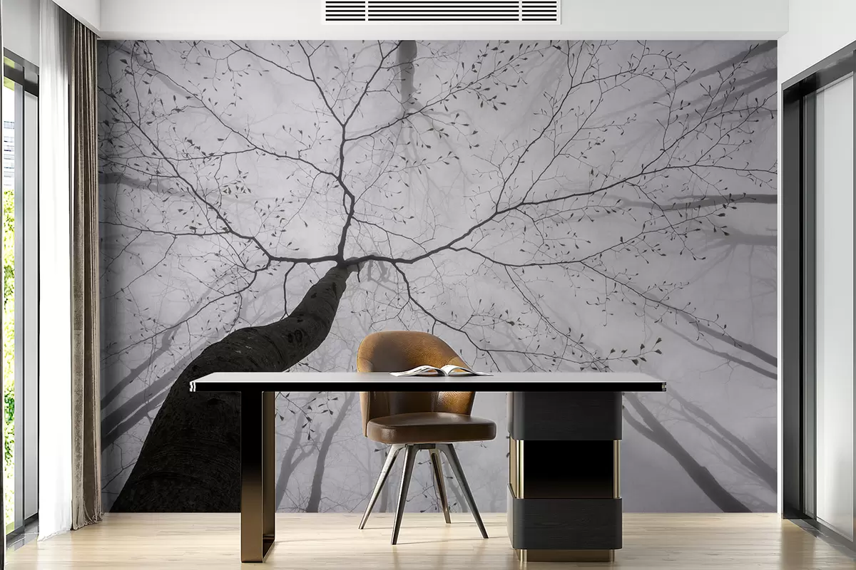 murais de parede Uma manhã nublada na floresta u97391