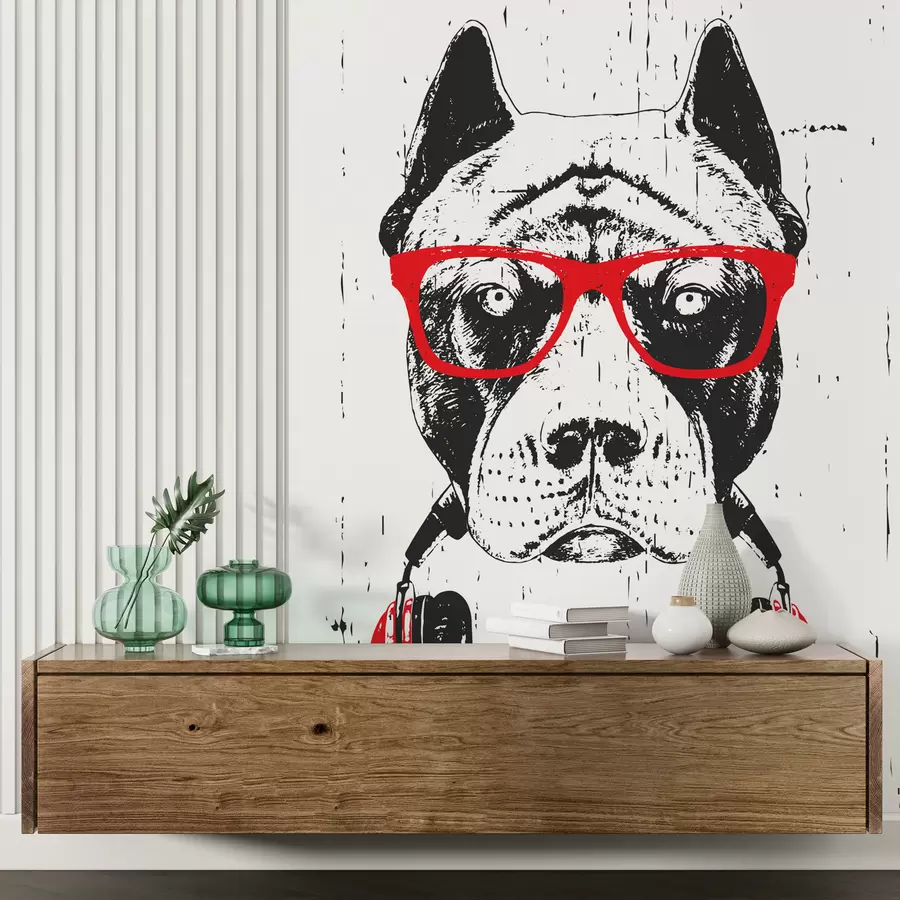 murais de parede Retrato de Pitbull com óculos e auscultadores u98184