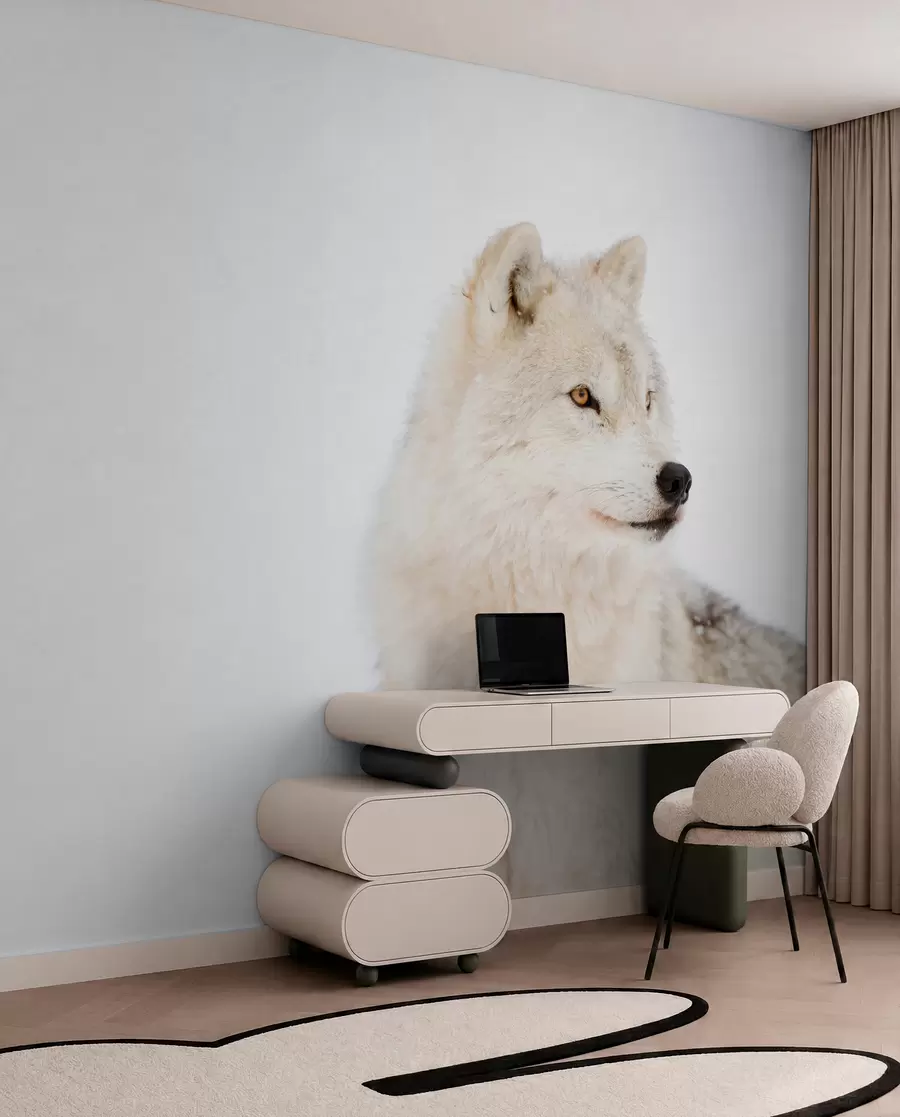 murais de parede Lobo ártico sobre fundo branco u98189