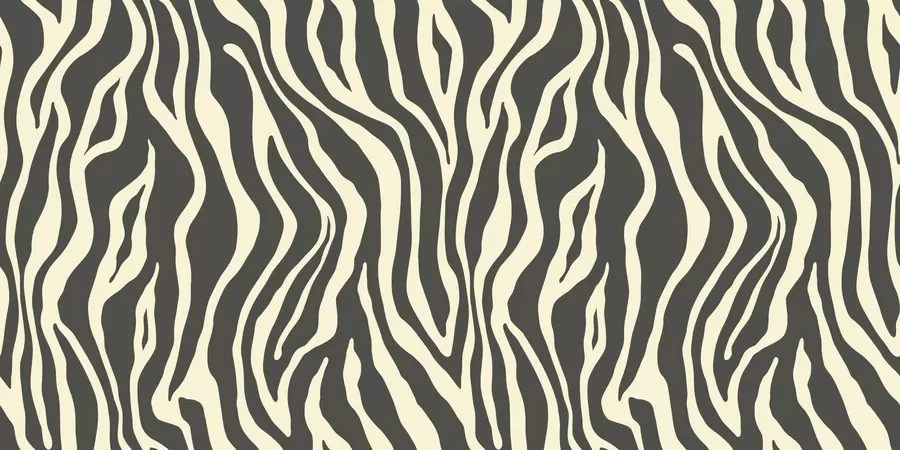murais de parede Impressão vetorial de pele de zebra a preto e branco u99173v3